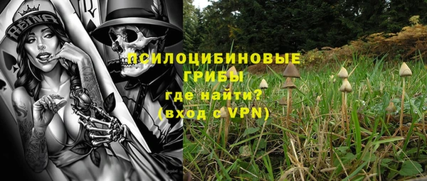 ГАЛЛЮЦИНОГЕННЫЕ ГРИБЫ Бронницы