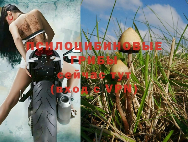 кокаин Богородицк